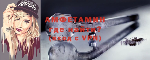 индика Покачи