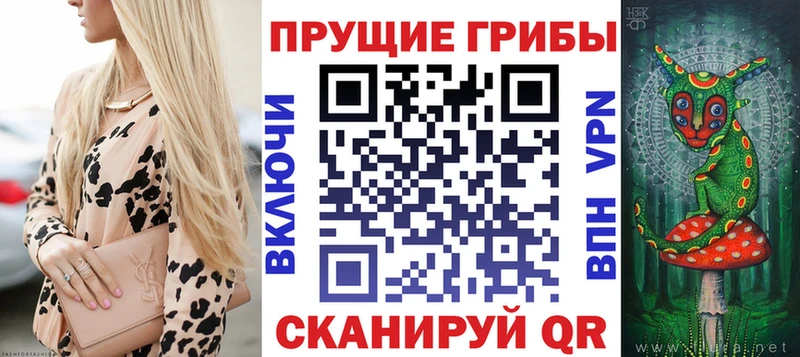 Галлюциногенные грибы Psilocybine cubensis  Курлово 