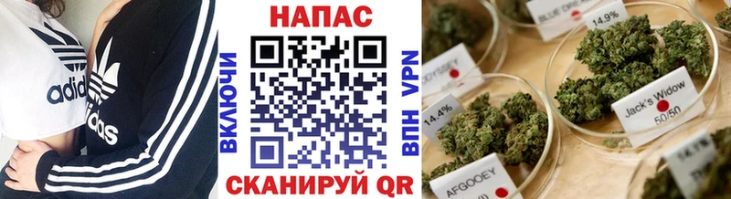 где можно купить наркотик  Курлово  Канабис Bruce Banner 